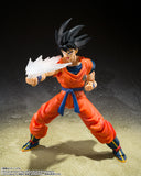 Effect Parts Set for S.H.Figuarts Son Goku from Dragon Ball [SOLD OUT]
