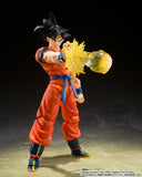 Effect Parts Set for S.H.Figuarts Son Goku from Dragon Ball [SOLD OUT]