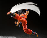 Effect Parts Set for S.H.Figuarts Son Goku from Dragon Ball [SOLD OUT]