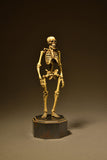 KT Project KT-006 Takeya Style Jizai Okimono Gaikotsu Skeleton Color Version [SOLD OUT]