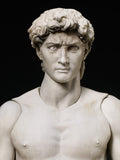 Figma SP-066 David by Michelangelo from The Table Museum [SOLD OUT]