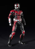 S.H.Figuarts Ant-Man (Ant-Man and the Wasp Ver.) + Ant Set from Ant-Man and the Wasp Marvel [SOLD OUT]
