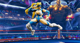 S.H.Figuarts Rainbow Mika from Street Fighter V [SOLD OUT]