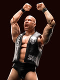 S.H.Figuarts Stone Cold Steve Austin from WWE [SOLD OUT]