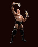S.H.Figuarts Stone Cold Steve Austin from WWE [SOLD OUT]