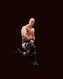 S.H.Figuarts Stone Cold Steve Austin from WWE [SOLD OUT]