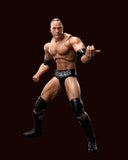 S.H.Figuarts The Rock Dwayne Johnson from WWE [SOLD OUT]