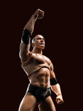 S.H.Figuarts The Rock Dwayne Johnson from WWE [SOLD OUT]