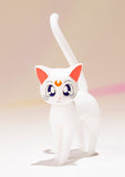 S.H.Figuarts Sailor Venus from Sailor Moon Action Figure Bandai Tamashii Japan [SOLD OUT]
